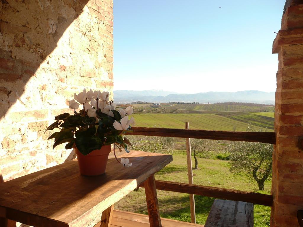 Marco & Andrea Agriturismo Amelia Exterior photo