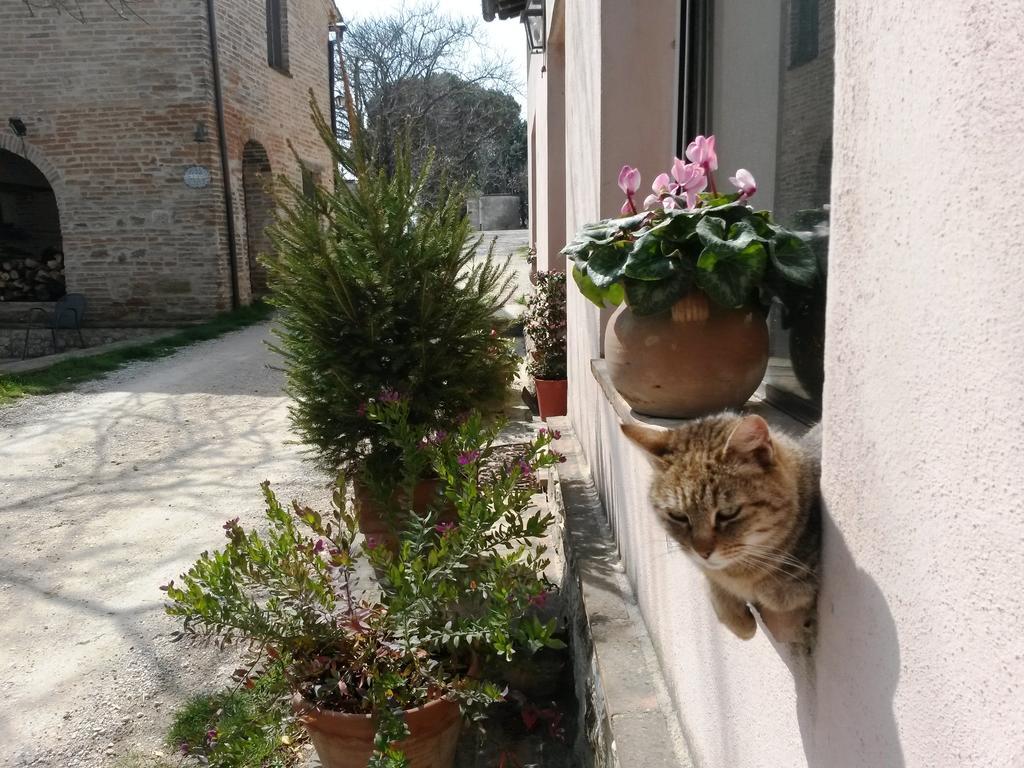 Marco & Andrea Agriturismo Amelia Exterior photo